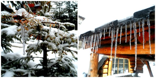 Some of the icicles were almost 2 storeys high!