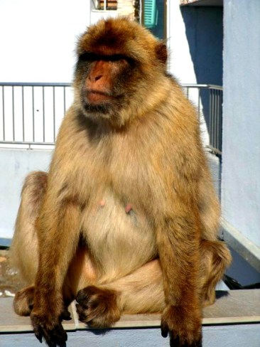 31996_430473158209_4860410_n(1)