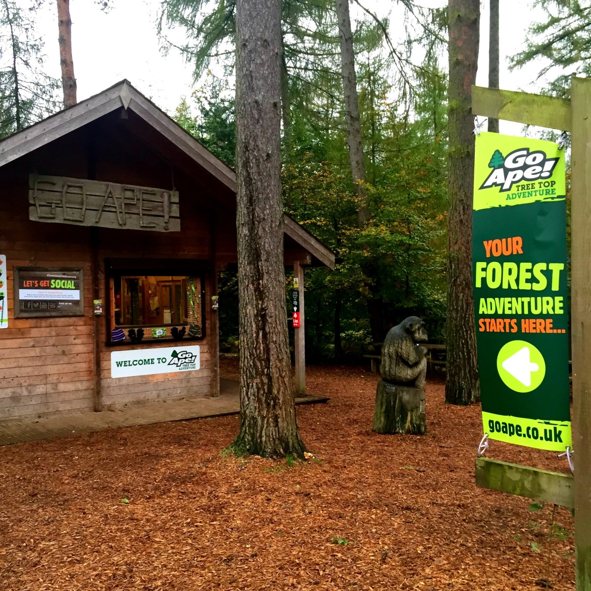 Go Ape tree top adventure