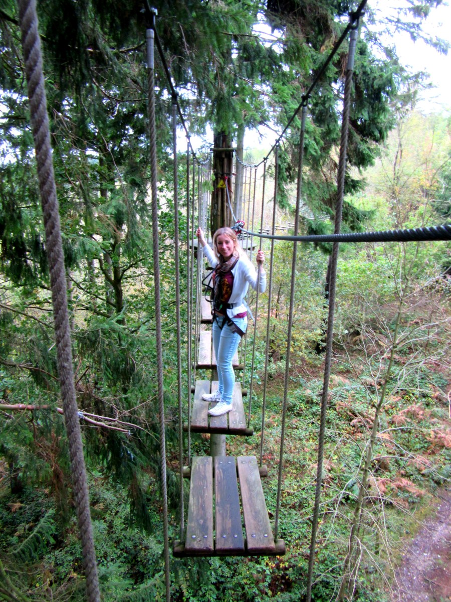 Go Ape tree top adventure