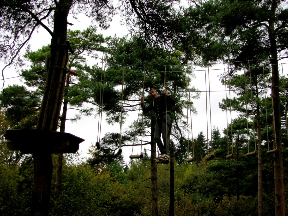 Go Ape tree top adventure