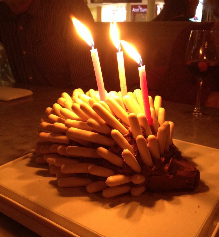Hedgehog cake
