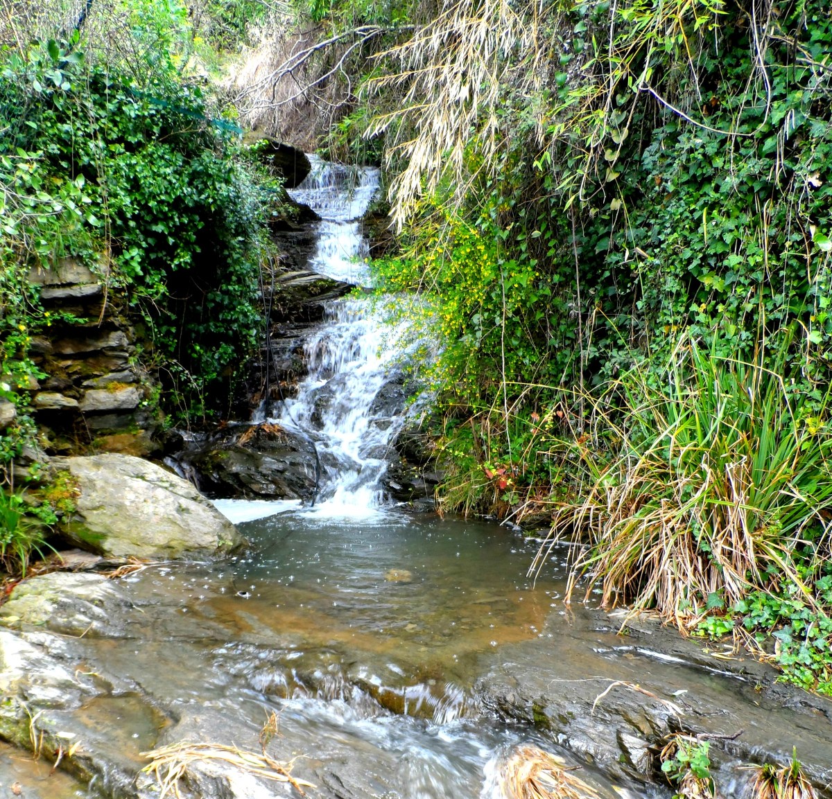 Hiking in the Cinque Terre