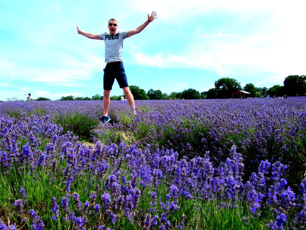 Mayfield Lavender Fields