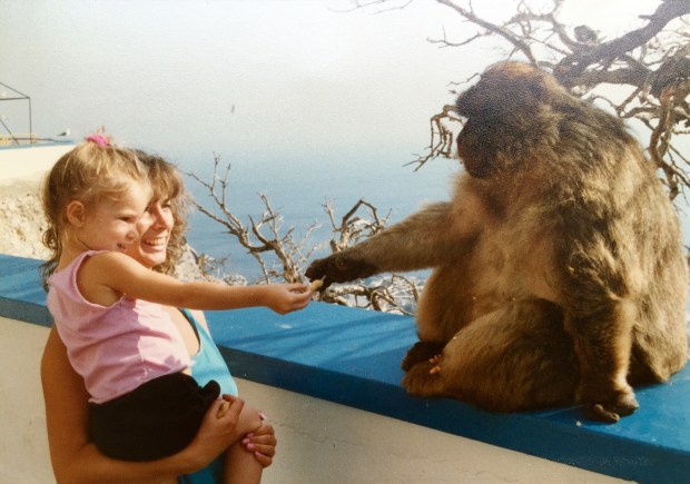 Monkeys in Gibraltar