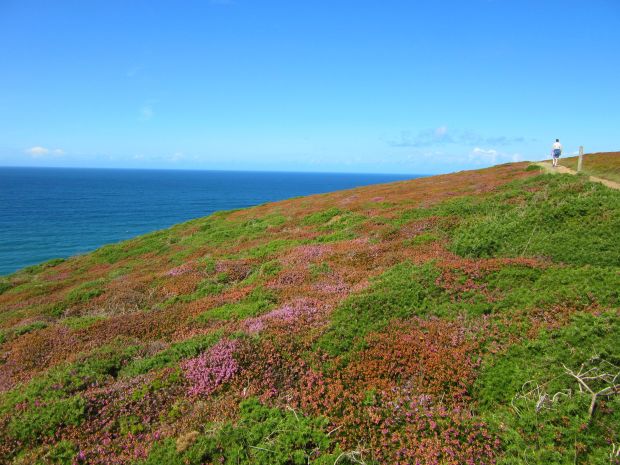 Mawgan Porth to Bedruthan Steps