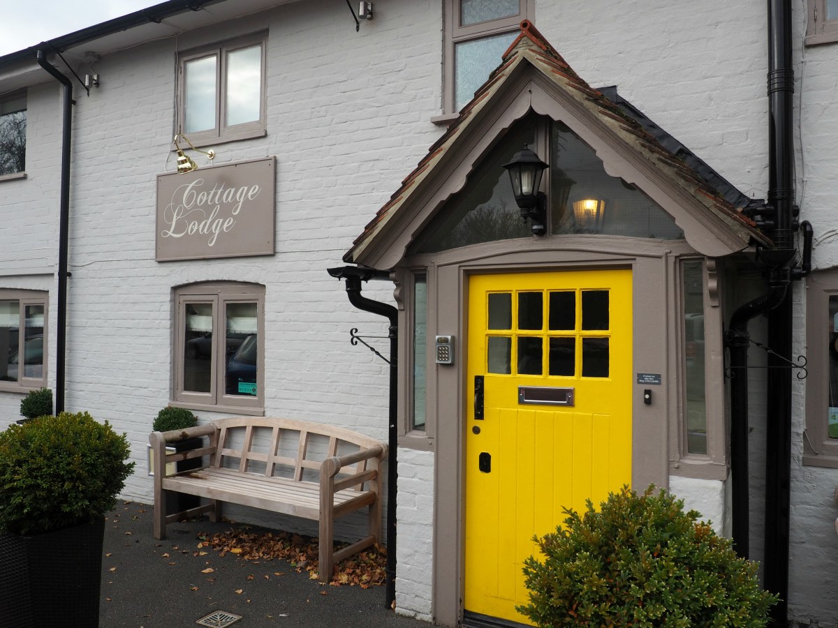 Where to stay in New Forest