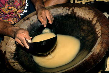 Kava in Fiji