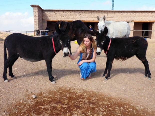 Jarjeer Mules Marrakech