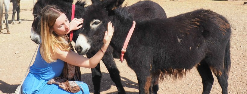 Jarjeer Mules Marrakech