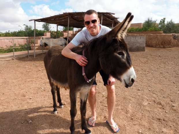 Jarjeer Mules Marrakech