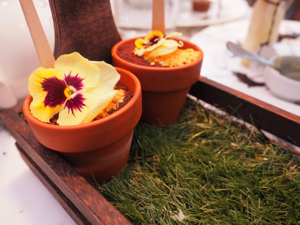 Mad Hatter's Afternoon Tea