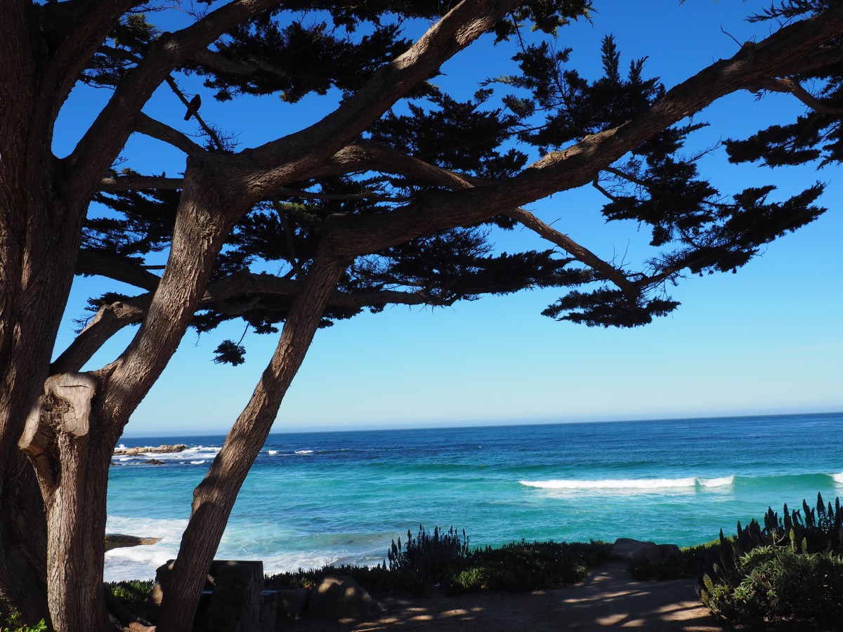 Where to stay in Carmel