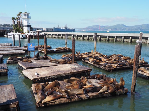 What to do in San Francisco