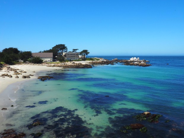 What to do in San Francisco