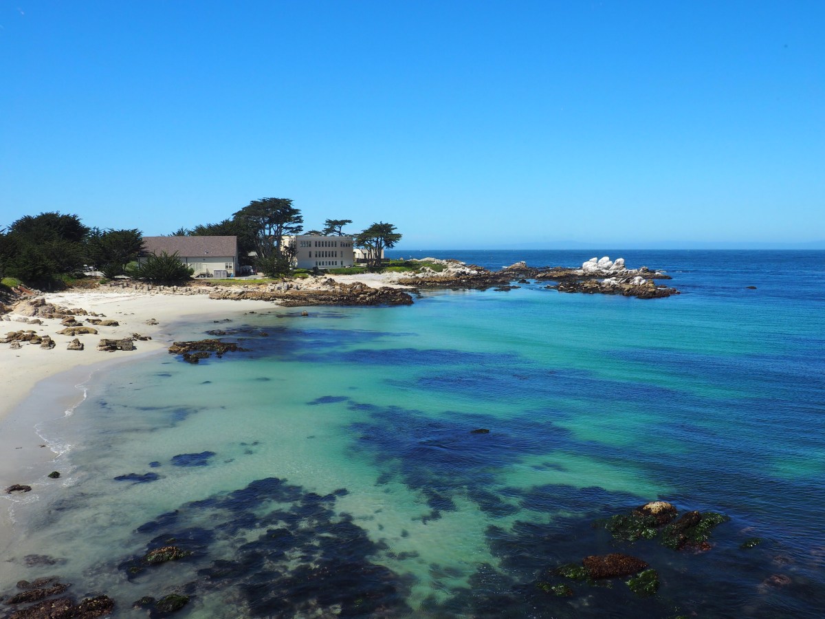 What to do in San Francisco