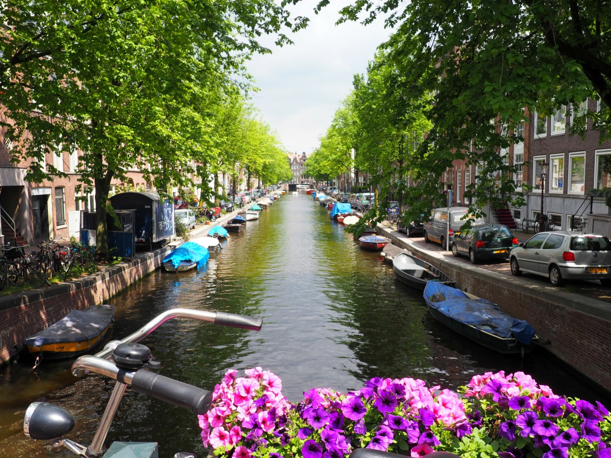 What to do in Amsterdam