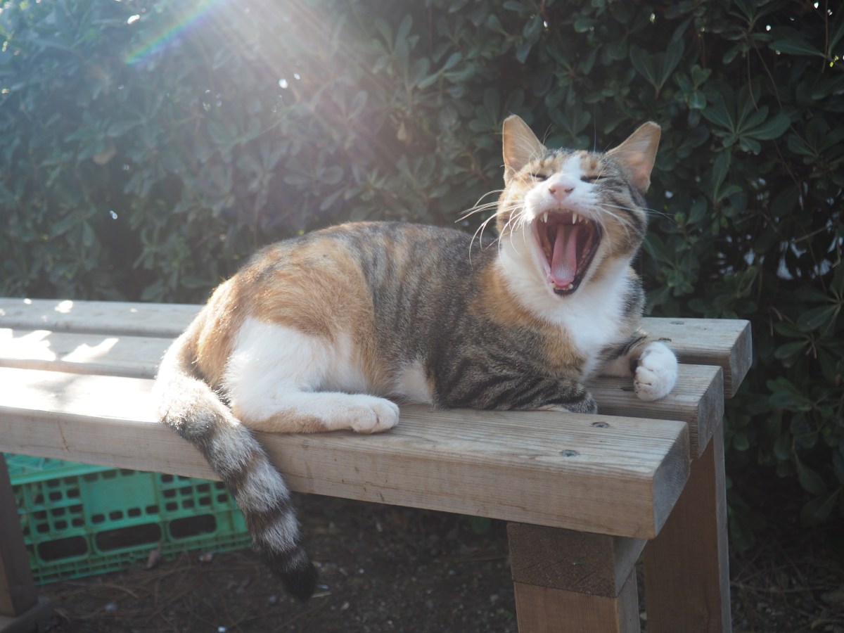 Sensimar Marmaris Imperial