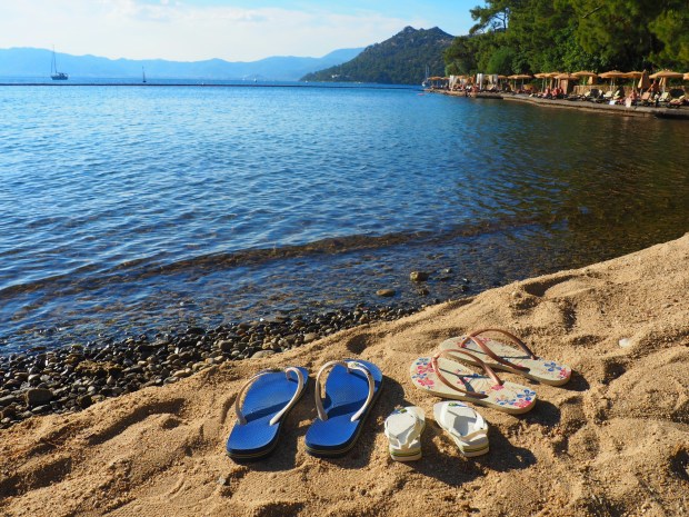 Pregnancy announcement photo