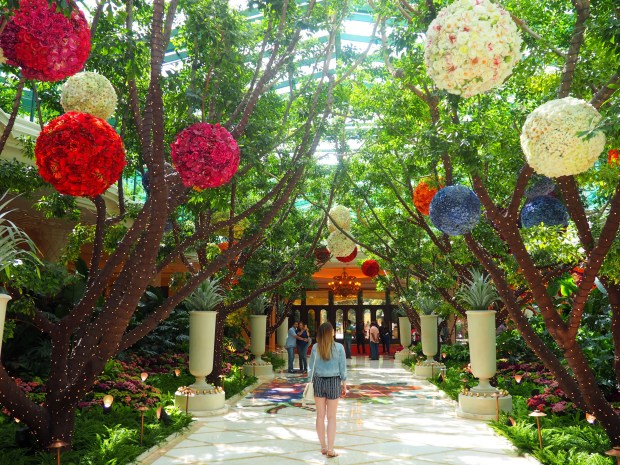 What to do in Las Vegas