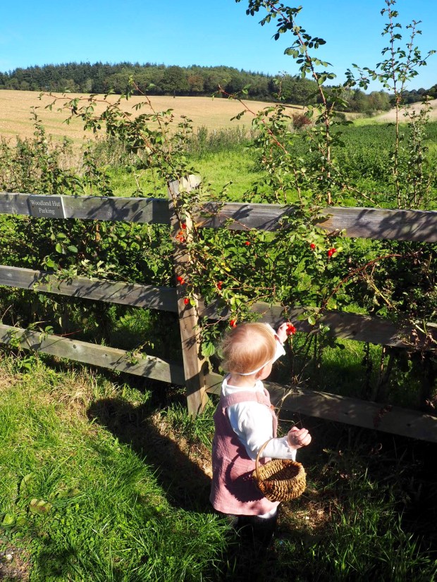 Shepherd’s hut Kent UK