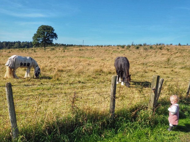 Shepherd’s hut Kent UK