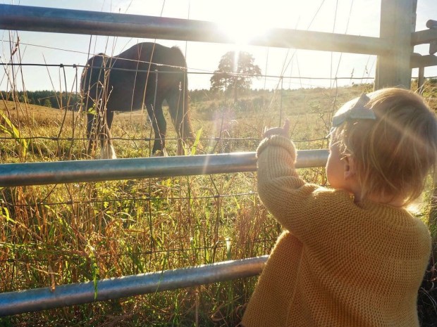 Shepherd’s hut Kent UK