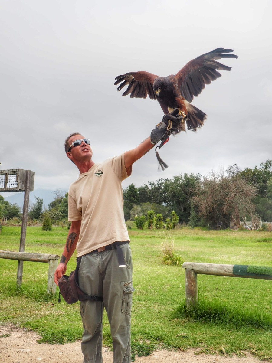 Cape Winelands with kids