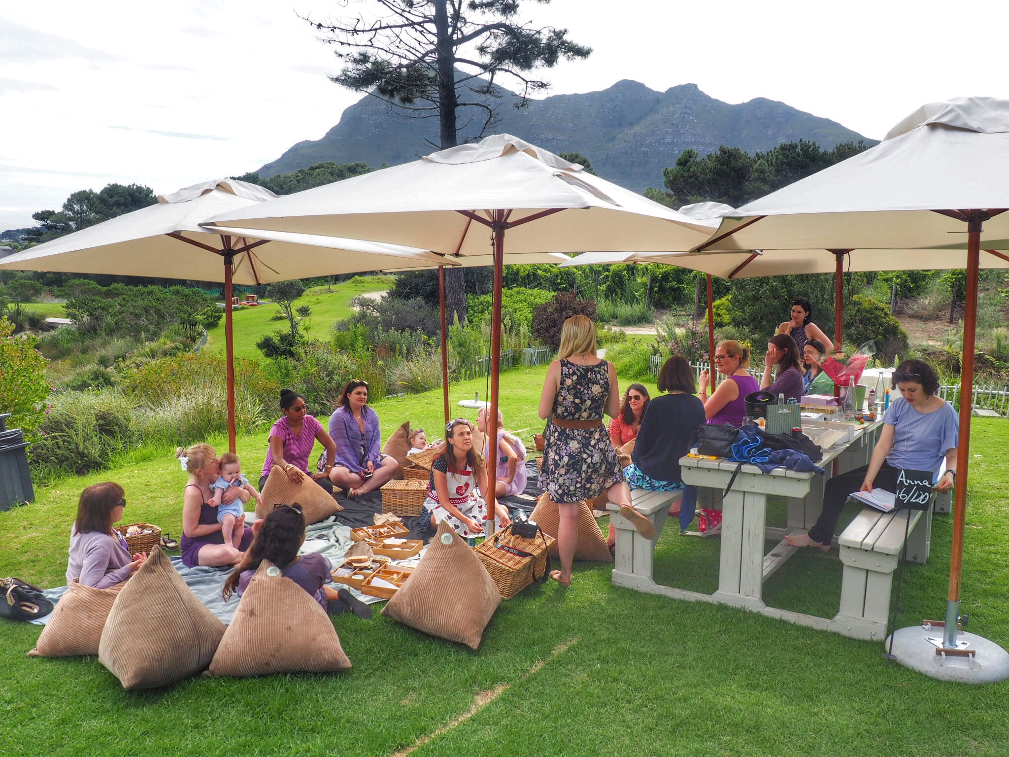 Cape Winelands with kids
