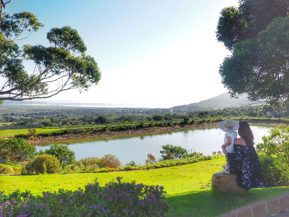 Cape Winelands with kids