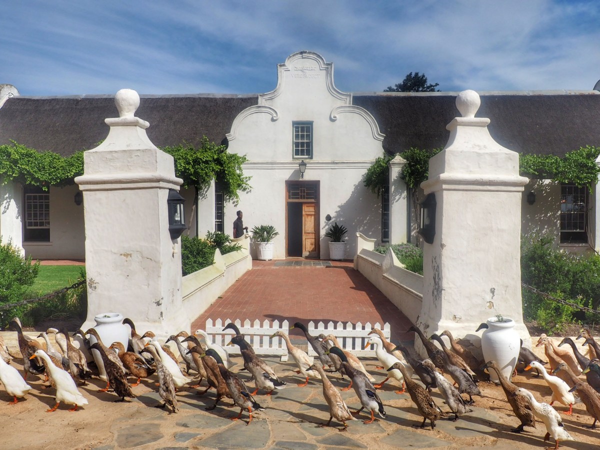 Cape Winelands with kids