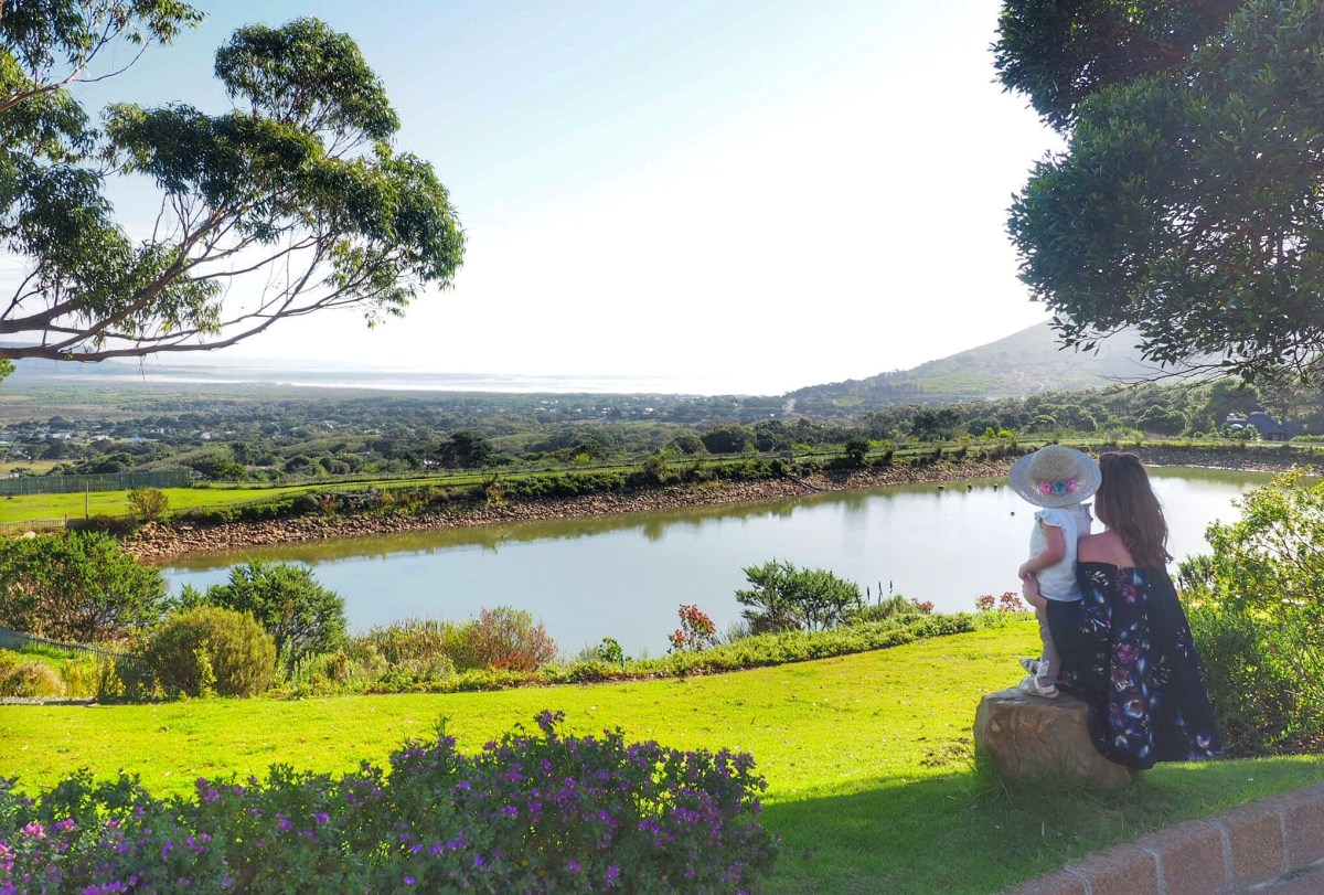 Cape Winelands with kids