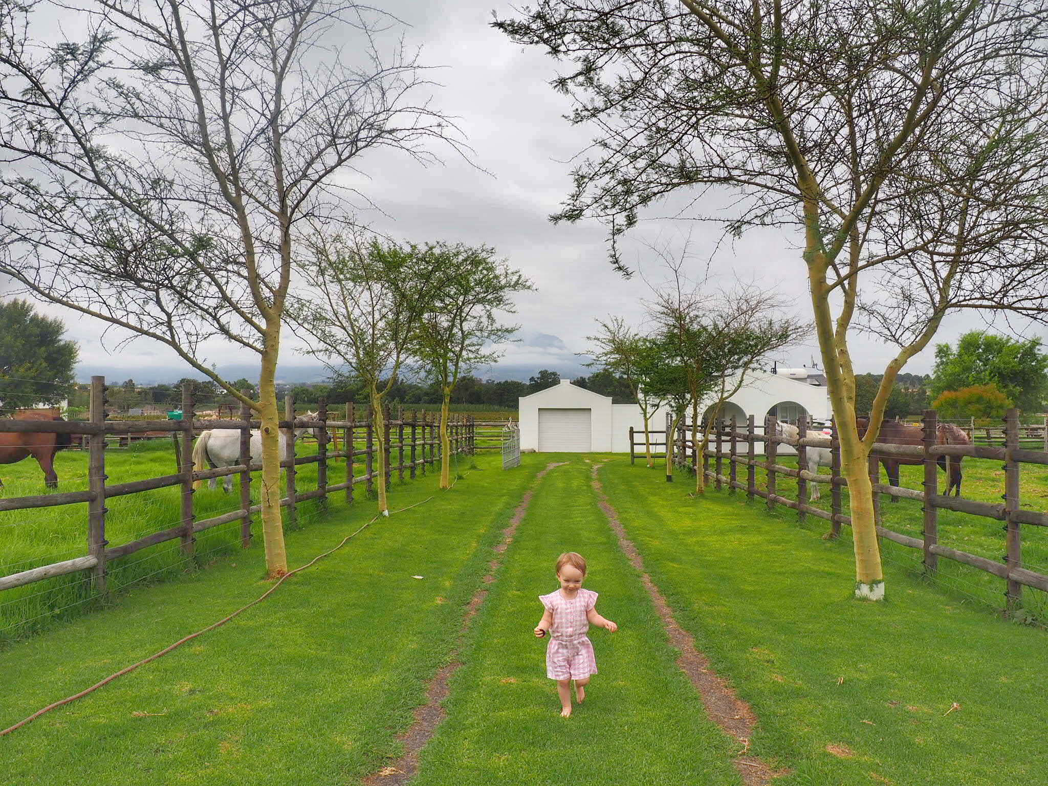 Stellenbosch with kids