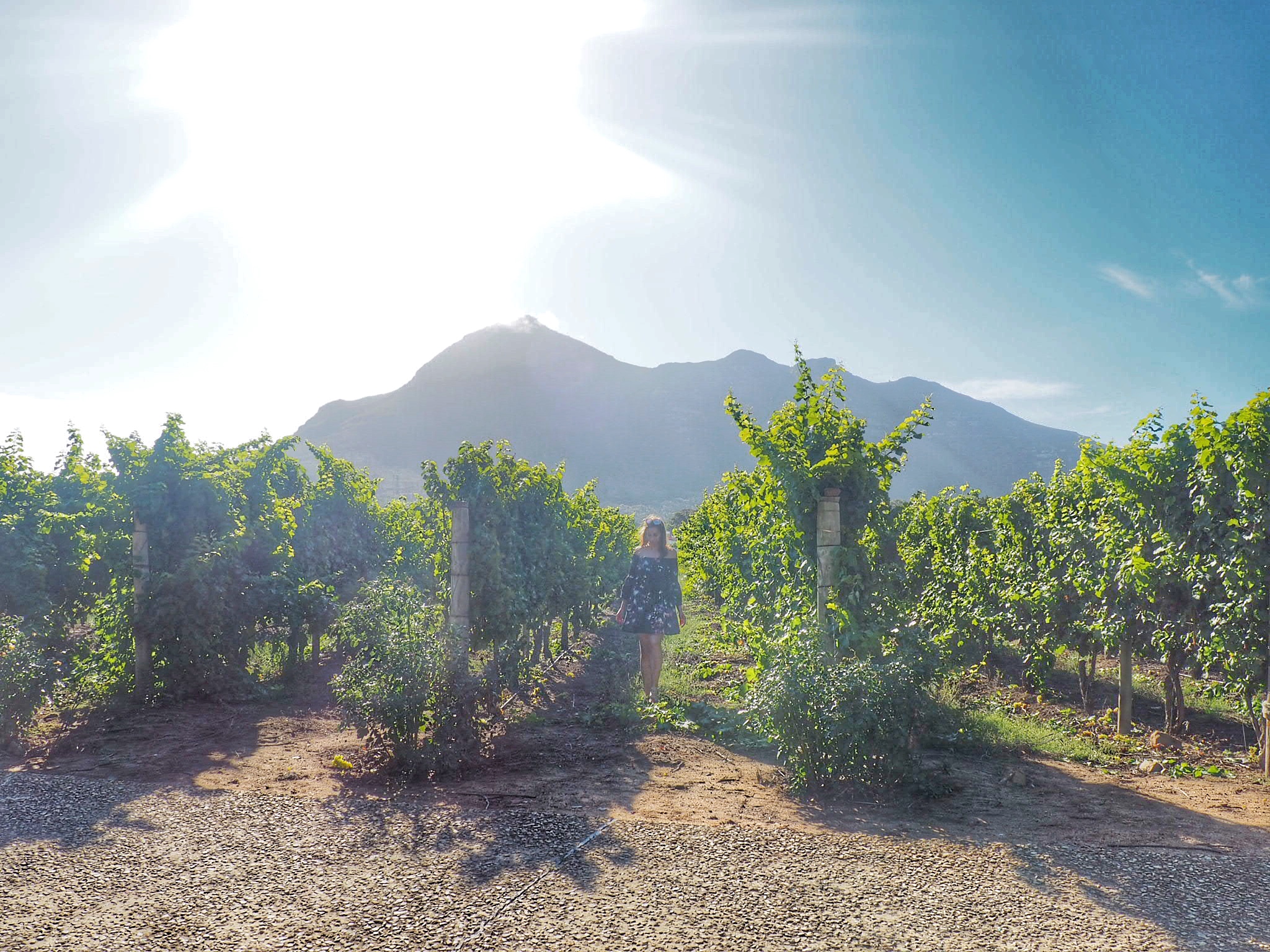 Cape Winelands with kids