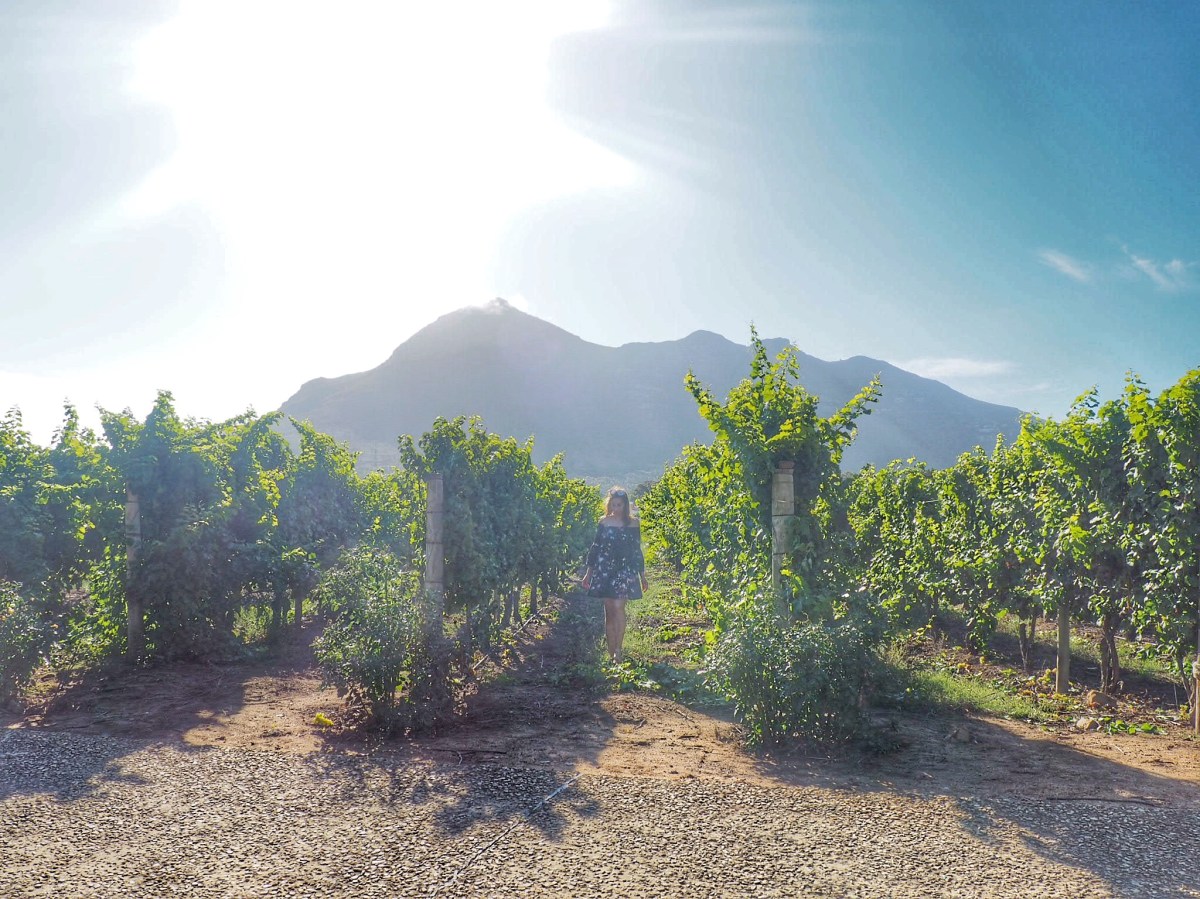 Cape Winelands with kids