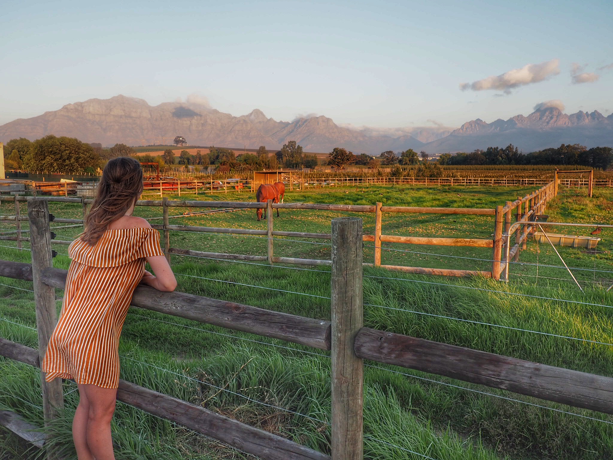 Stellenbosch with kids