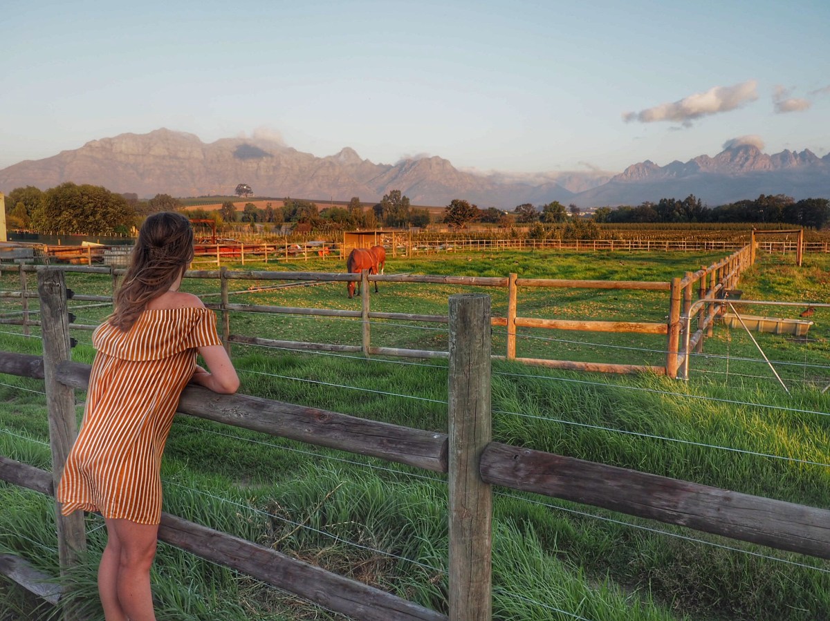 Stellenbosch with kids