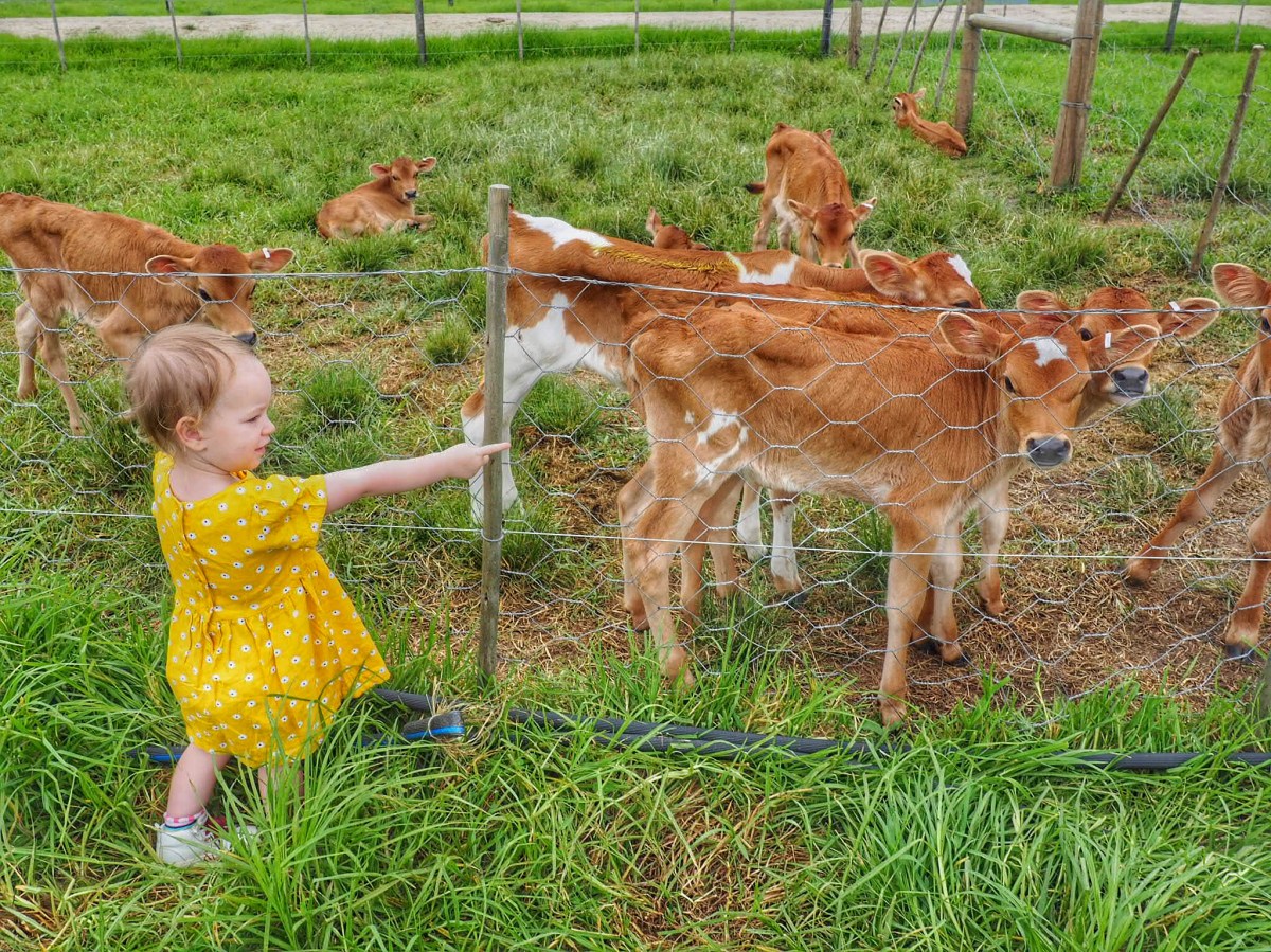 Where to stay Garden Route