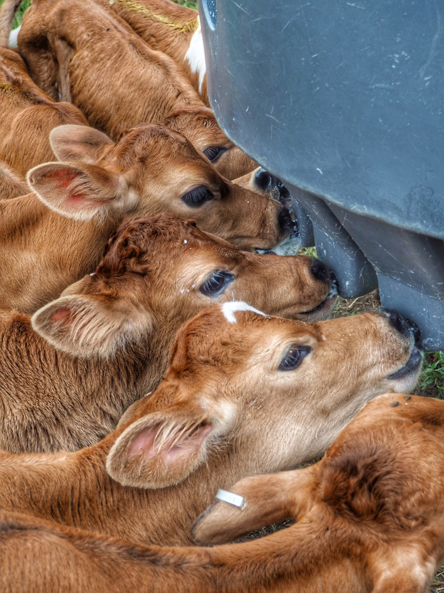 Where to stay Garden Route