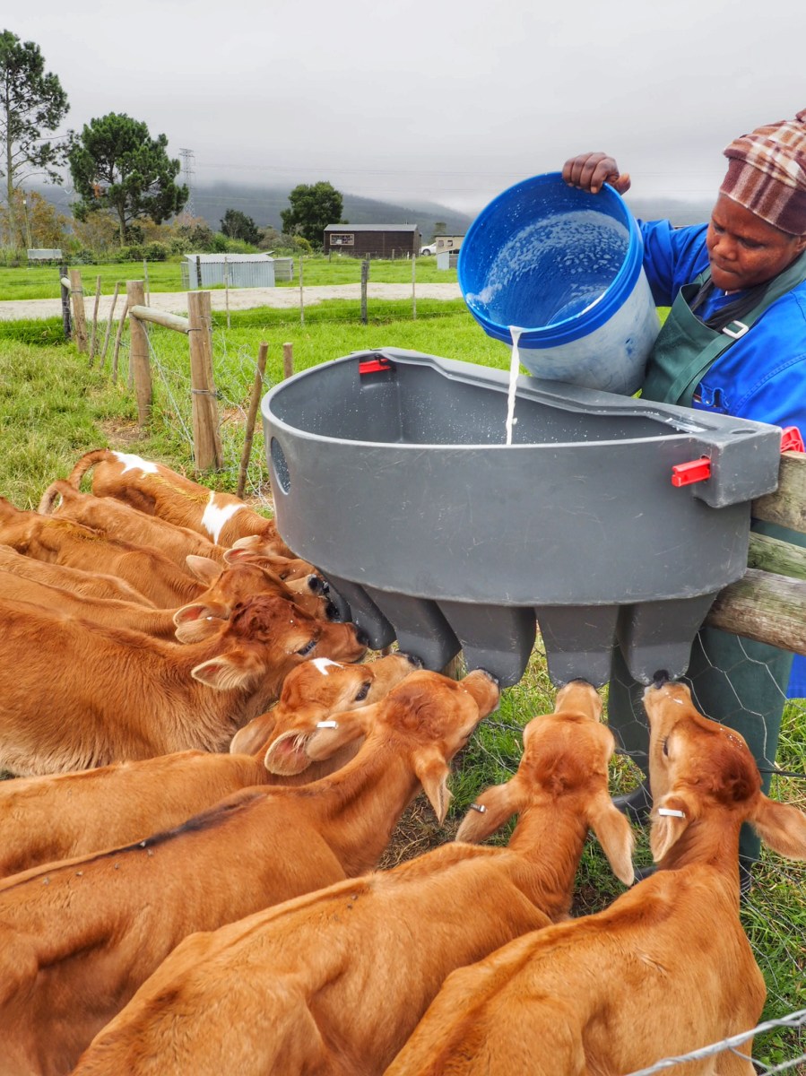 Where to stay Garden Route