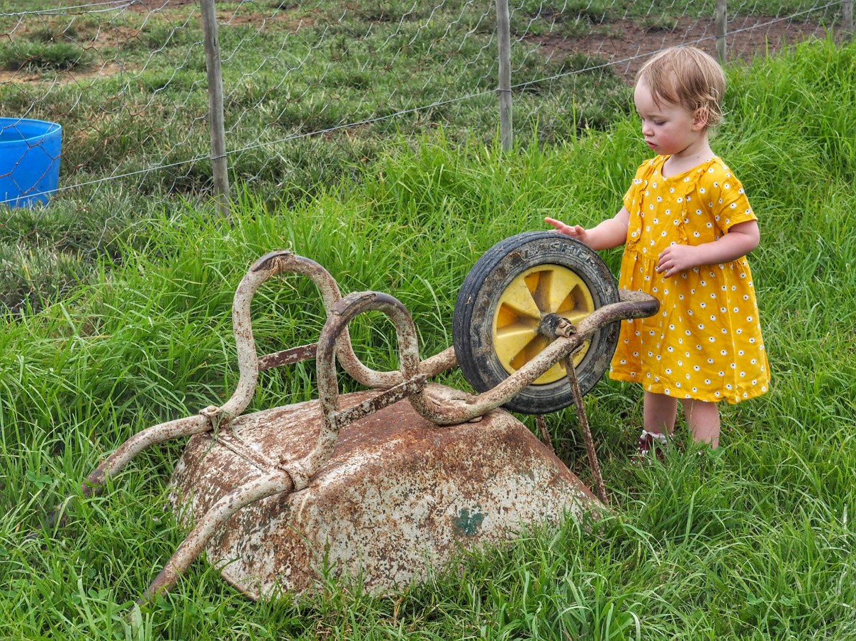 Where to stay Garden Route