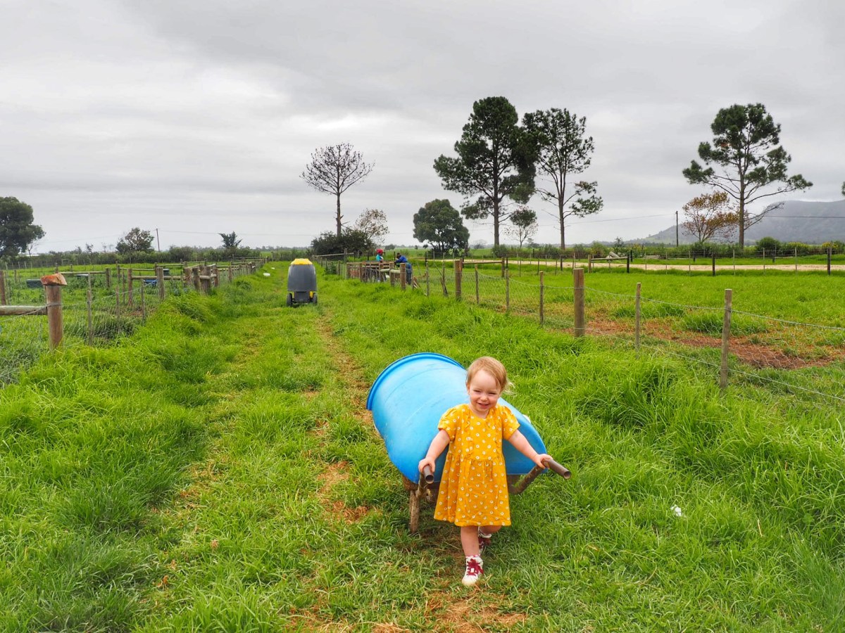 Where to stay Garden Route