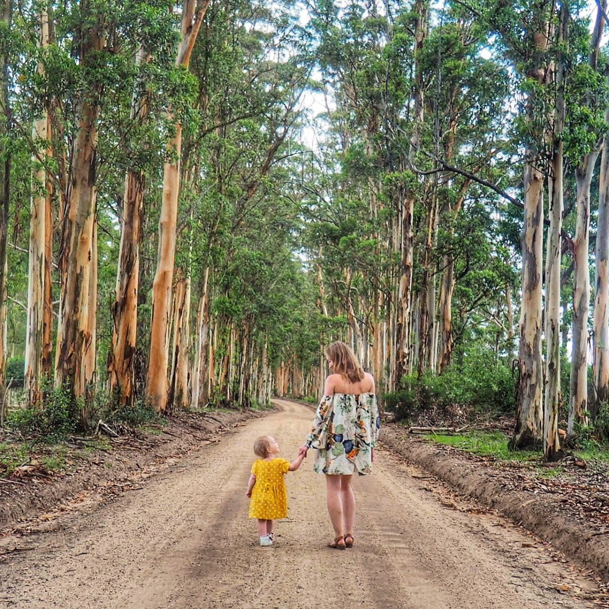 Where to stay Garden Route